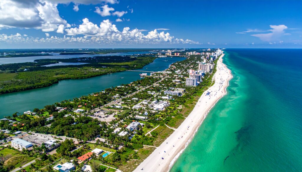 firefly florida 655758